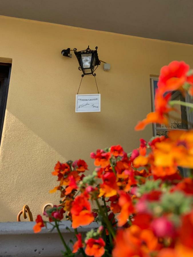 Il Giardino Segreto Appartement Pisa Buitenkant foto